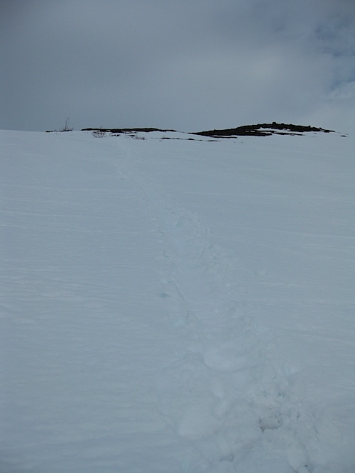 Abisko 0904 Dag 4  - 06.jpg